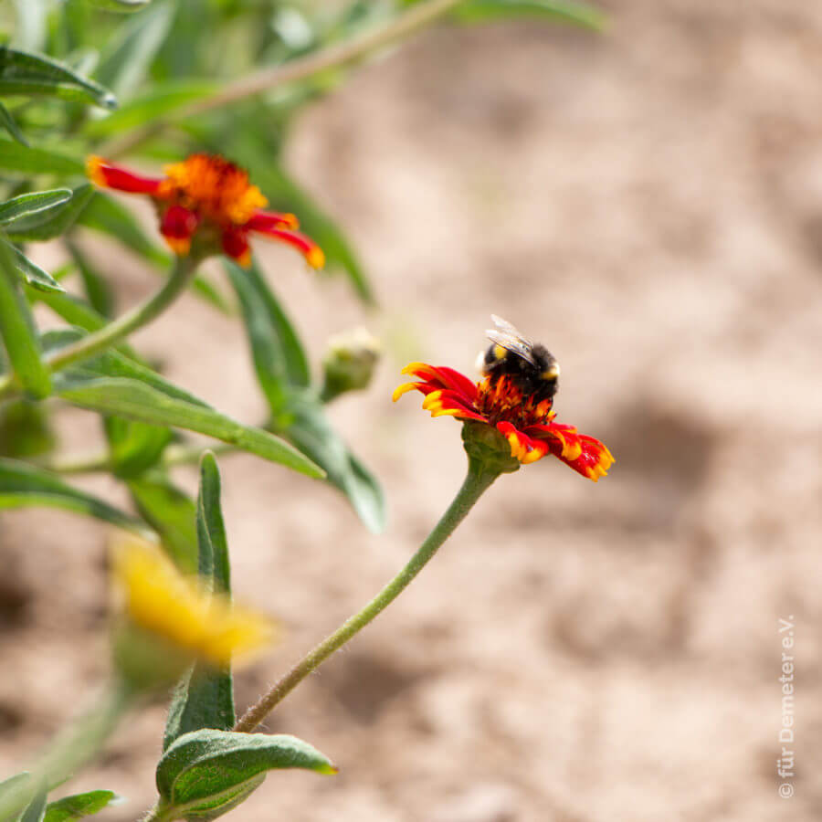 nachhaltige landwirtschaft
