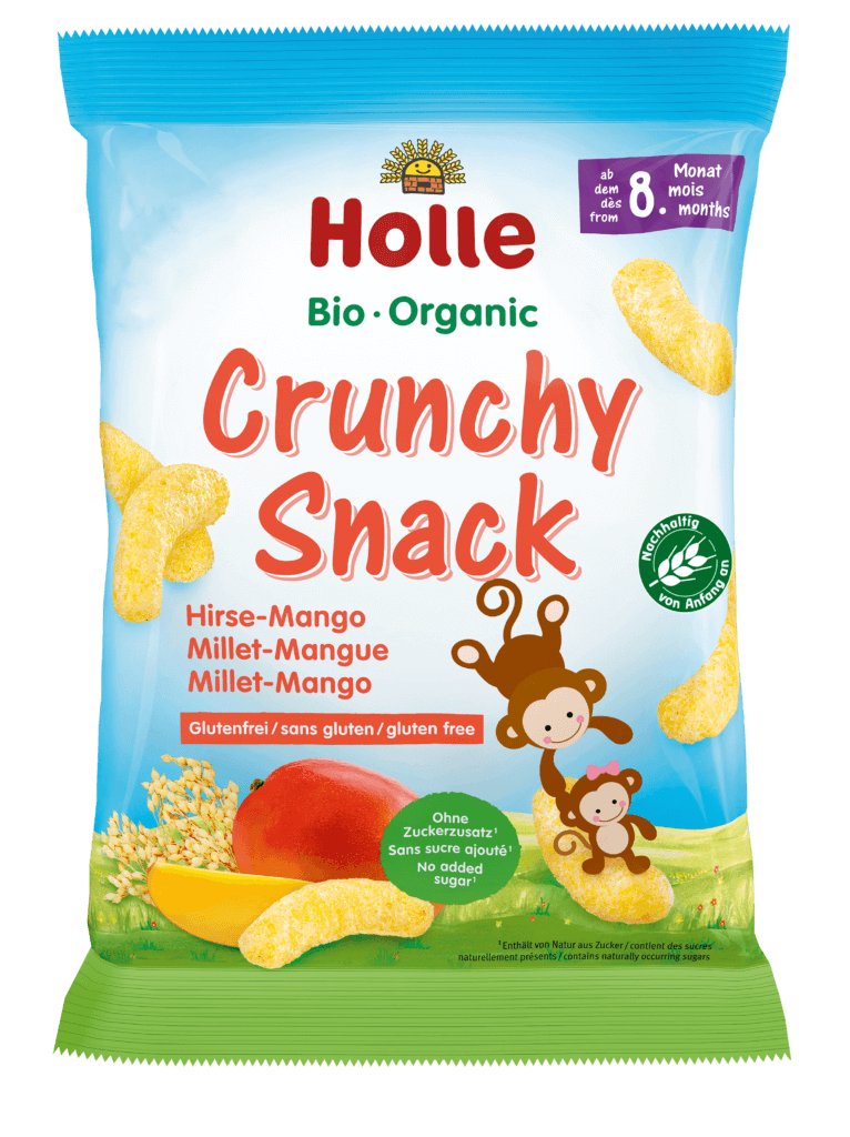 Bio Crunchy Snack Millet-Mangue