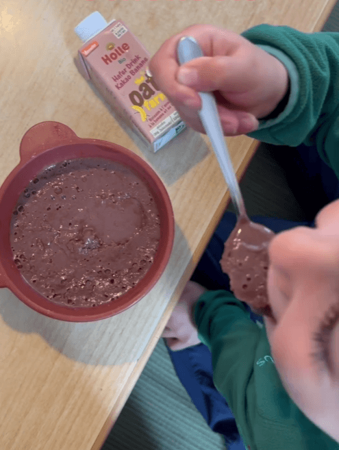 Chocolate ice cream without sugar | Holle