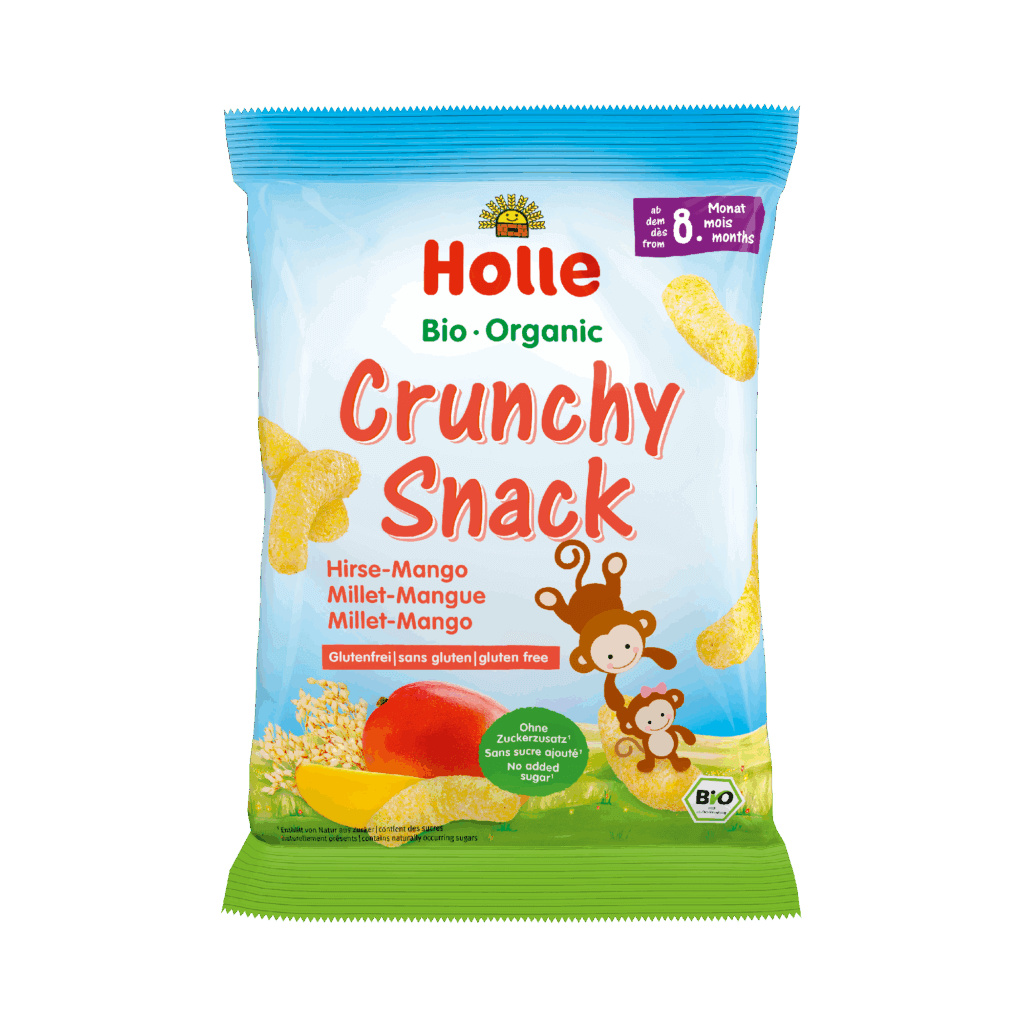 Organic Crunchy Snack Millet Mango
